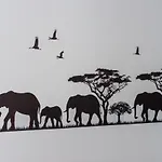 Donita